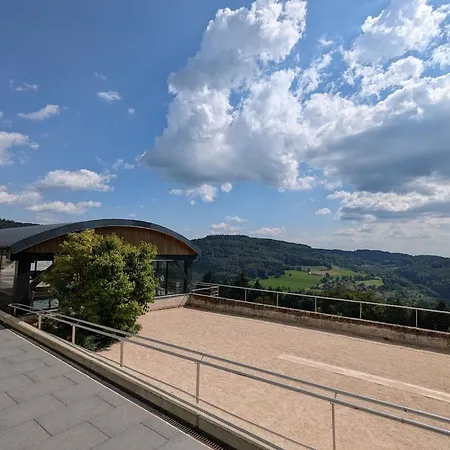 Hébergement de vacances Avec Piscine Chauffee, Et Vue Sur La Vallee - Fr-1-589-655 Le Val-dʼAjol