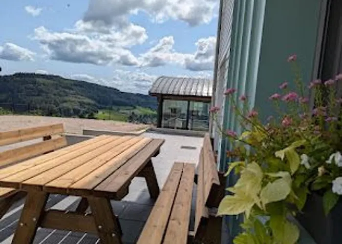 Avec Piscine Chauffee, Et Vue Sur La Vallee - Fr-1-589-655 Le Val-dʼAjol