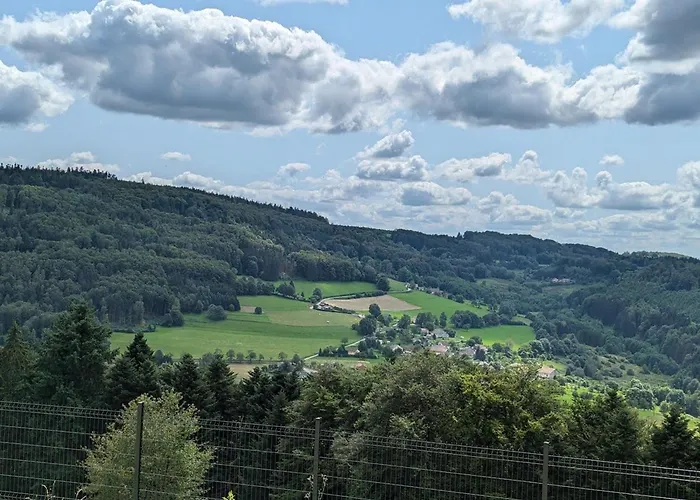Avec Piscine Chauffee, Et Vue Sur La Vallee - Fr-1-589-655 * Le Val-dʼAjol